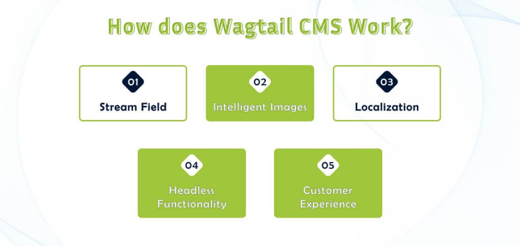 Wagtail CMS Work